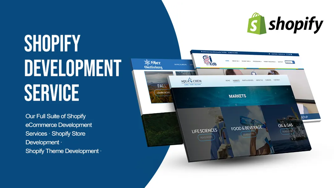 Web Development Agency, Shopify services